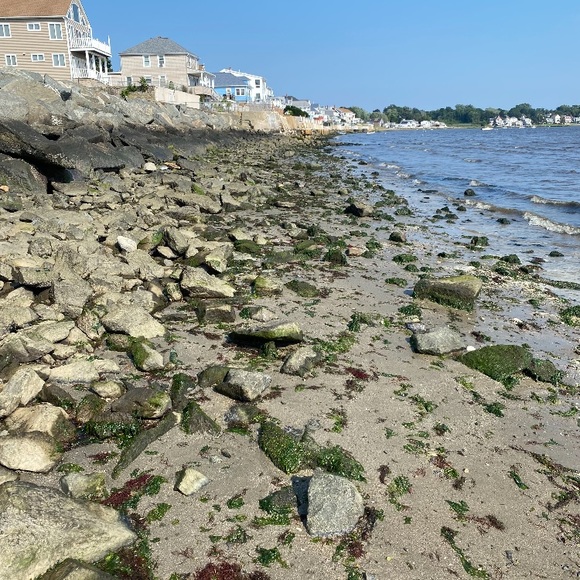 Meet your Posher, Jennifer - Picture 2 of 2